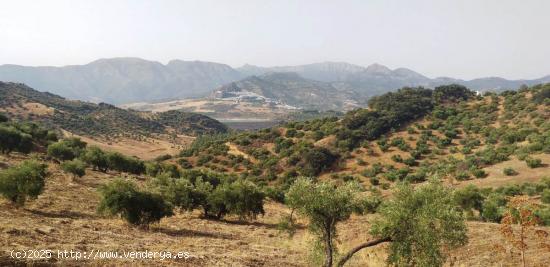 SE VENDE FINCA RUSTICA EN ALGODONALES - CADIZ