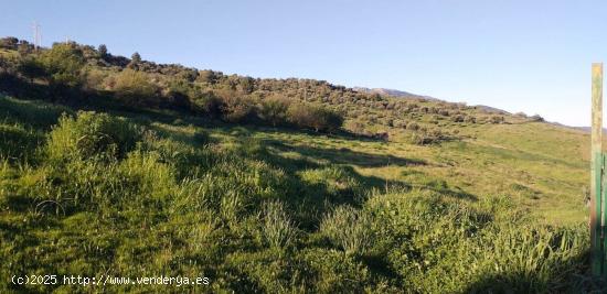 SE VENDE FINCA RUSTICA DE TIERRA DE LABOR EN ZAHARA DE LA SIERRA - CADIZ