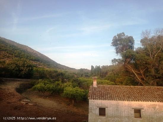 SE VENDE TERRENO EN ALGODONALES - CADIZ