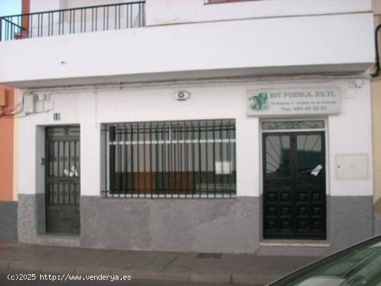 PUEBLA DE LA CALZADA, ALQUILER LOCAL CENTRO, CON SEVICIO, LUMINOSO Y AMPLIO - BADAJOZ