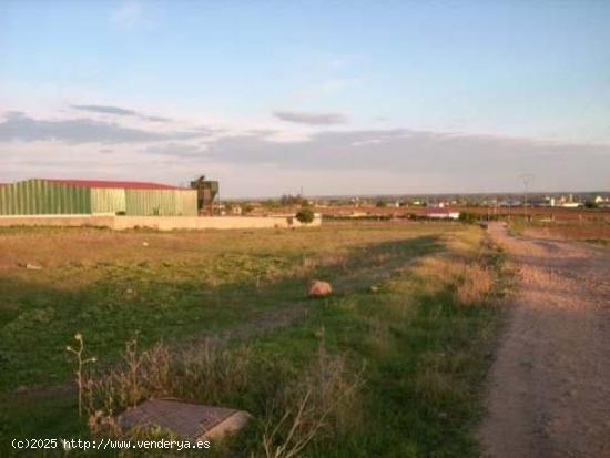  MONTIJO, TERRENO RUSTICO 9.800 M2, CON LUZ Y AGUA - BADAJOZ 