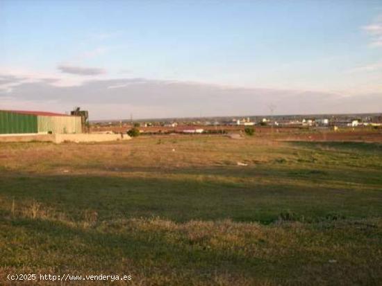 MONTIJO, TERRENO RUSTICO 9.800 M2, CON LUZ Y AGUA - BADAJOZ