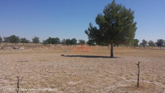 TERRENO RUSTICO EN ZONA LAS PERDICES, CARRETERA JAEN - ALBACETE