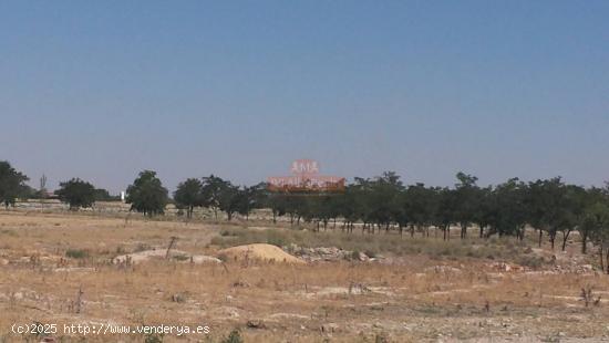 TERRENO RUSTICO EN ZONA LAS PERDICES, CARRETERA JAEN - ALBACETE