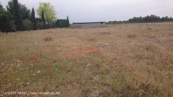 SE VENDE PARCELA DE 2600 M2 A 2 KM DE ALBACETE  AL LADO DE CHALET DE LUJO - ALBACETE