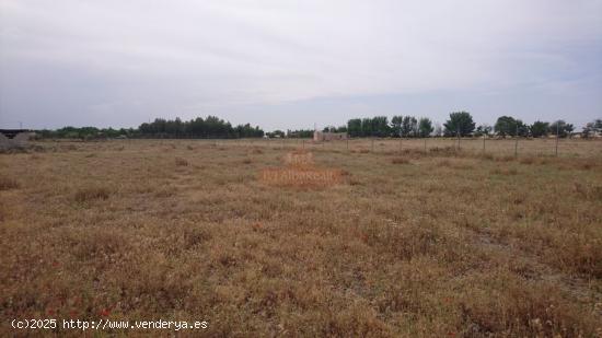 SE VENDE PARCELA DE 2600 M2 A 2 KM DE ALBACETE  AL LADO DE CHALET DE LUJO - ALBACETE