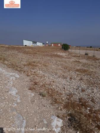 TERRENO EN VENTA EN CRTRA CASAS DE JUAN NUÑEZ A POZO LORENTE CON ALMENDROS Y OLIVOS - ALBACETE