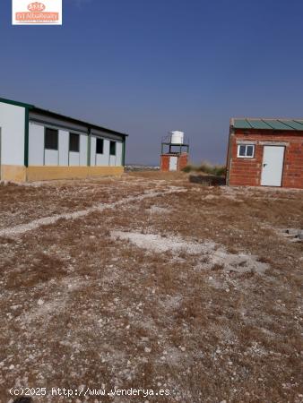 TERRENO EN VENTA EN CRTRA CASAS DE JUAN NUÑEZ A POZO LORENTE CON ALMENDROS Y OLIVOS - ALBACETE