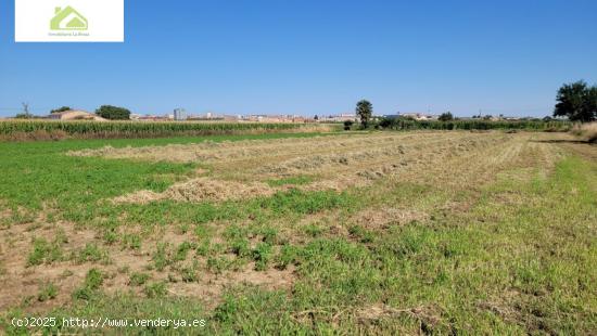 VENTA FINCA CRTA VILLARALBO - ZAMORA