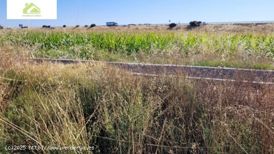 VENTA FINCA CRTA VILLARALBO - ZAMORA