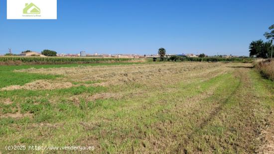 VENTA FINCA CRTA VILLARALBO - ZAMORA