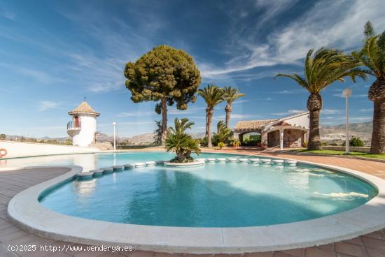 IMPRESIONANTE FINCA EN MONÓVAR CON EXPLOTACIÓN AGRÍCOLA - ALICANTE