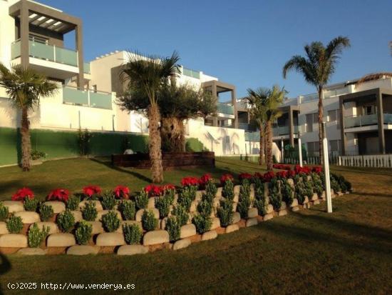 PLANTA BAJA-PUNTA PRIMA- LOS BALCONES -TORREVIEJA - ALICANTE