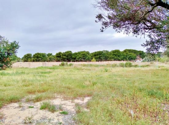 Fantástico terreno urbano a 5 minutos de Alicante de las playas - ALICANTE