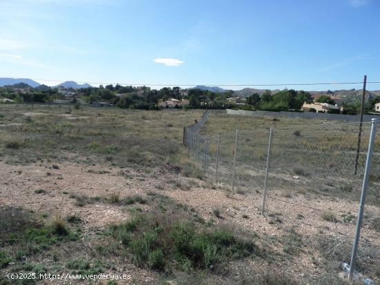 OPORTUNIDAD SOLAR URBANO IDONEO PARA CONSTRUCCION DE CHALETS MUY PROXIMO A ALICANTE - ALICANTE