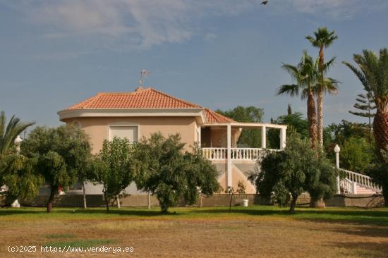 Bonito chalet en finca de olivos a escasos kilómetros de Muchamiel - ALICANTE