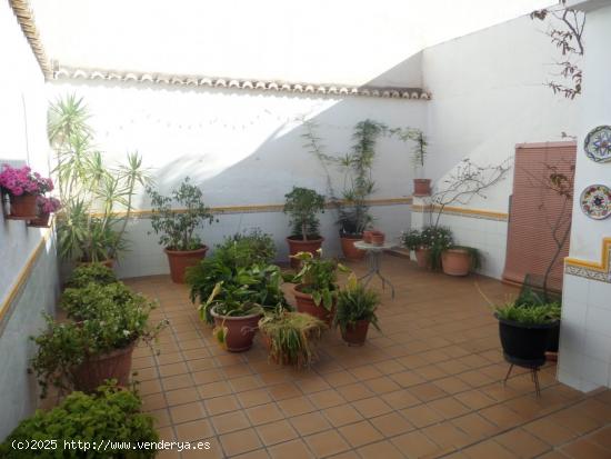 FANTASTICA CASA UNIFAMILIAR  UBICADA EN EL CENTRO DE SAN VICENTE CON MARAVILLOSO PATIO - ALICANTE