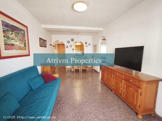  Apartamento en alquiler en Guardamar del Segura (Alicante) 