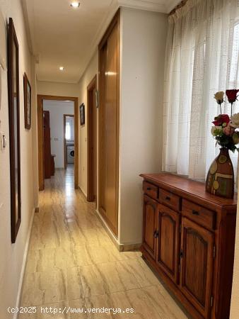 Apartamento cerca del mar - ALICANTE