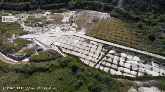 Terreno de más de 7 Hectáreas en Navarra: Inversión perfecta para Biomedicina y Explotación Sali