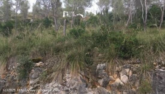  Terreno urbano en Olivella - BARCELONA 