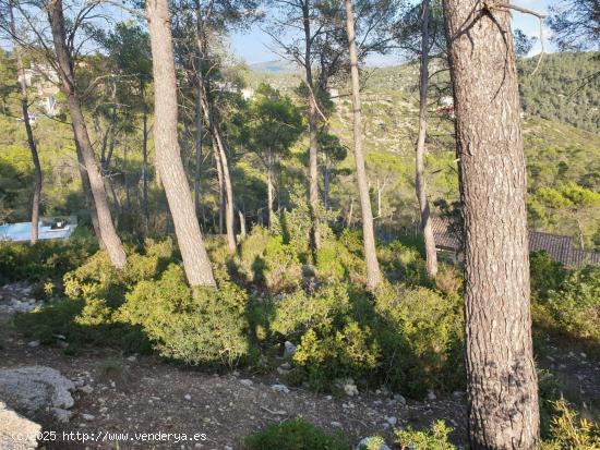 Terreno urbano situado en la Urbanización Las Colinas de Olivella. - BARCELONA