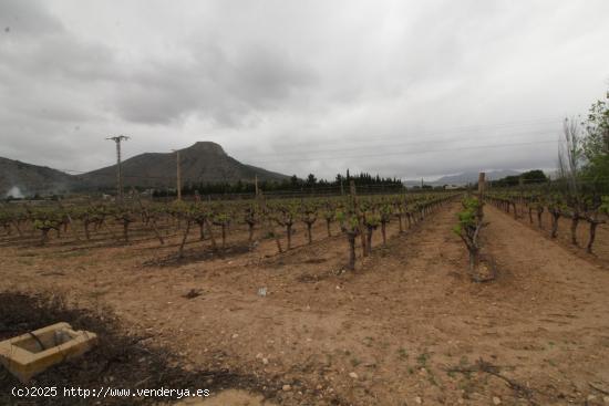 Terreno con albergue en Aspe - ALICANTE