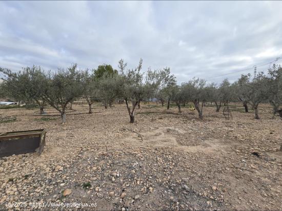  Casa de campo en Hondón de las Nieves - ALICANTE 