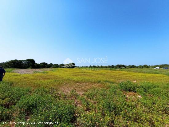 VENTA DE PARCELA RUSTICA EN EL ALTET - ALICANTE