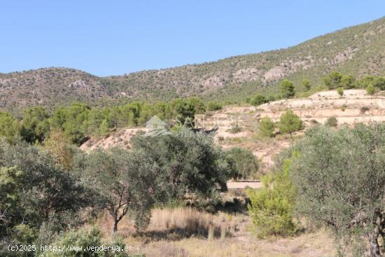 VENTA DE TERRENO A TRES KILOMETROS DE LA ROMANA - ALICANTE