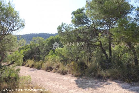 VENTA DE TERRENO A TRES KILOMETROS DE LA ROMANA - ALICANTE