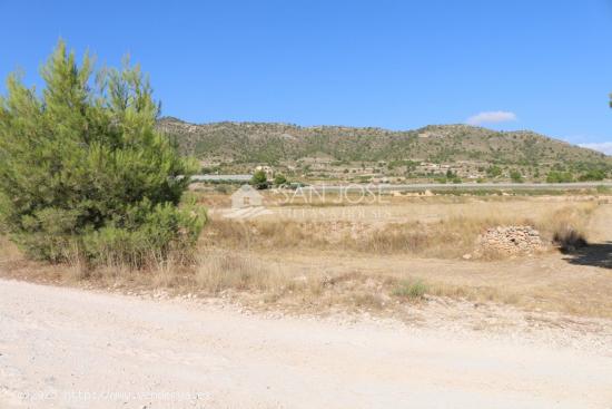 VENTA DE TERRENO EN LA ROMANA .MONOVAR - ALICANTE