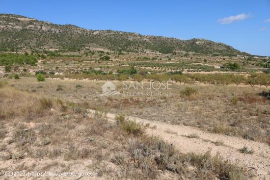 VENTA DE PARCELA EN LA ROMANA . MONOVAR - ALICANTE