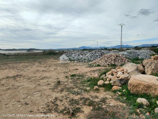 SE VENDEN DOS FINCAS CON PRODUCCION DE UVA EN MONFORTE DEL CID - ALICANTE