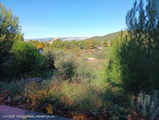 Parcela urbana en Biar - ALICANTE