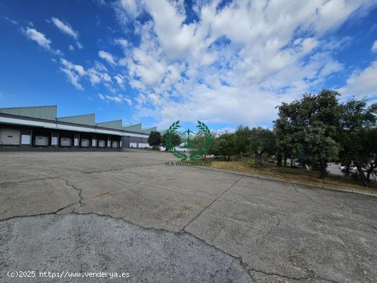 ALQUILER DE NAVE JUNTO A COLMENAR VIEJO  (3.650 M2 almacén + 3.000 M2 playa) - MADRID