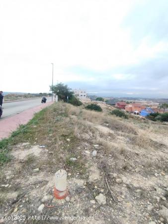 PARCELA EN URBANIZACION EL COTO - MURCIA