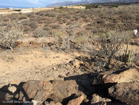 Terreno Agrícola en Tijoco Bajo - SANTA CRUZ DE TENERIFE