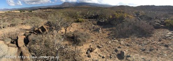 Terreno Agrícola en Tijoco Bajo - SANTA CRUZ DE TENERIFE