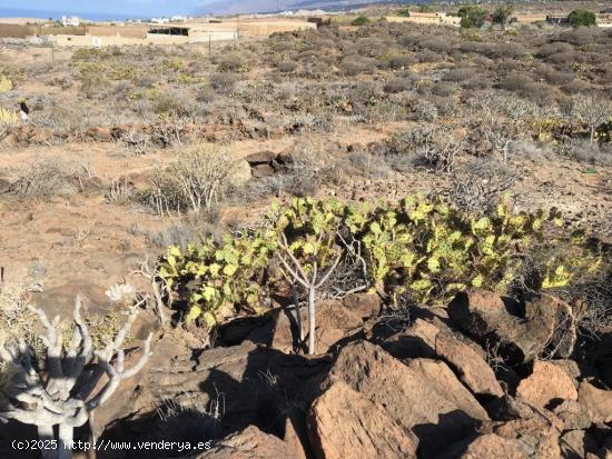 Terreno Agrícola en Tijoco Bajo - SANTA CRUZ DE TENERIFE