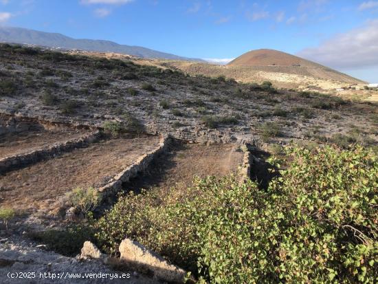 Terreno Fasnia - SANTA CRUZ DE TENERIFE