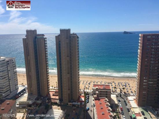  Piso en Benidorm zona Levante - ALICANTE 