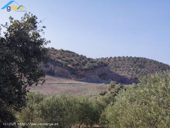 ESTUPENDA PARCELA POR LA CARRETERA DE PRUNA. EN LA CANTERA - SEVILLA