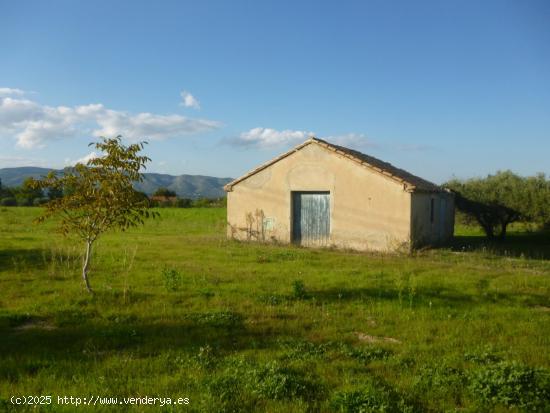  Terreno en Camí Vell de Alfafara - VALENCIA 