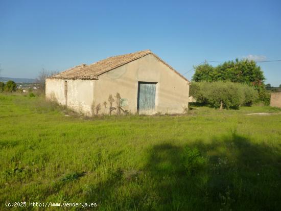 Terreno en Camí Vell de Alfafara - VALENCIA