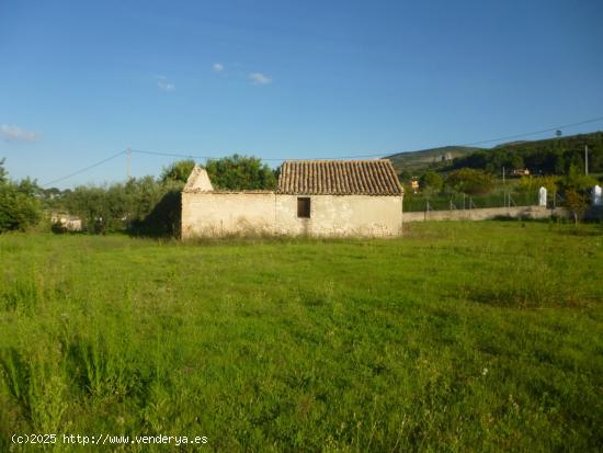 Terreno en Camí Vell de Alfafara - VALENCIA