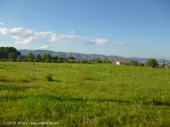 Terreno en Camí Vell de Alfafara - VALENCIA