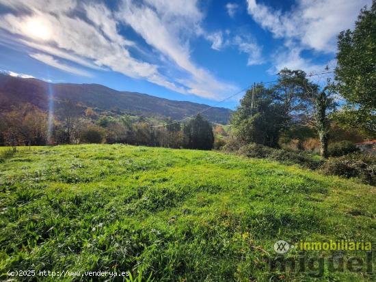 Se vende parcela edificable en Noriega, Ribadedeva - ASTURIAS