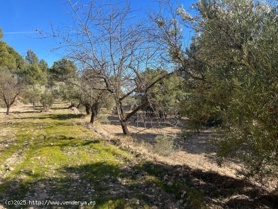 Finca rustica con olivos y almendros en Relleu Torremanzanes - ALICANTE