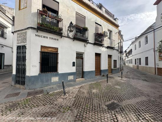 SOLAR Y PROYECTO JUNTO A LA RIBERA - CORDOBA